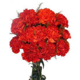 Online Flower Delivery-Fresh Flower Bunch Bouquet 28