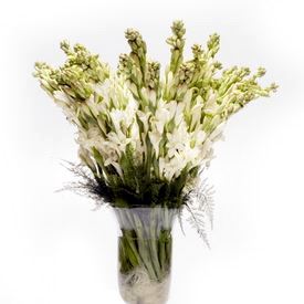 Glass Vase with Fresh Flower Arrangement 5